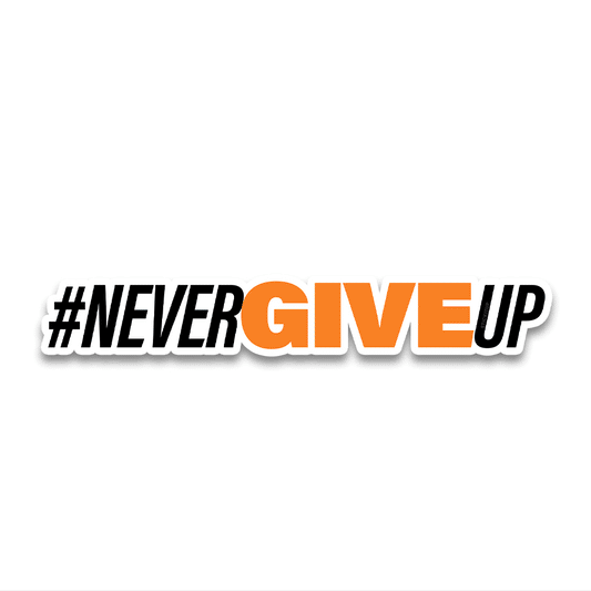 Never give Bumper Sticker waterproof vinyl decal for laptop, bike, car & bottle