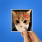 Angry Cat Meme Sticker - Stickers | STICK IT UP