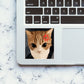 Angry Cat Meme Sticker - Stickers | STICK IT UP