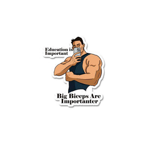 Big Biceps Are More Important Sticker waterproof vinyl decal for laptop, bike, car & bottle