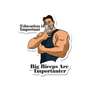 Big Biceps Are More Important Sticker waterproof vinyl decal for laptop, bike, car & bottle