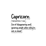Capricorn Sticker waterproof vinyl decal for laptop, bike, car & bottle