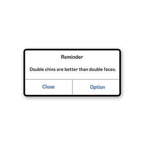 Double Chins Are Better Than Double Faces Sticker waterproof vinyl decal for laptop, bike, car & bottle