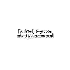 I Have Already Forgotten Sticker waterproof vinyl decal for laptop, bike, car & bottle