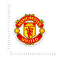 Manchester Bumper Sticker waterproof vinyl decal for laptop, bike, car & bottle