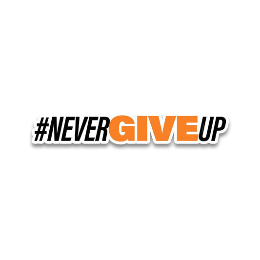 Never give Bumper Sticker waterproof vinyl decal for laptop, bike, car & bottle