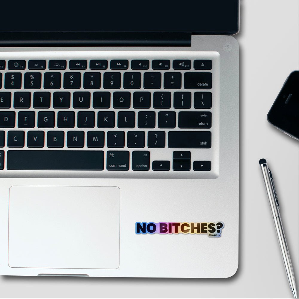 No Rizz Detected Holographic Stickers - Holographic stickers | STICK IT UP