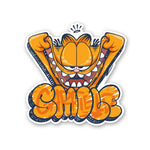 Smile Sticker waterproof vinyl decal for laptop, bike, car & bottle