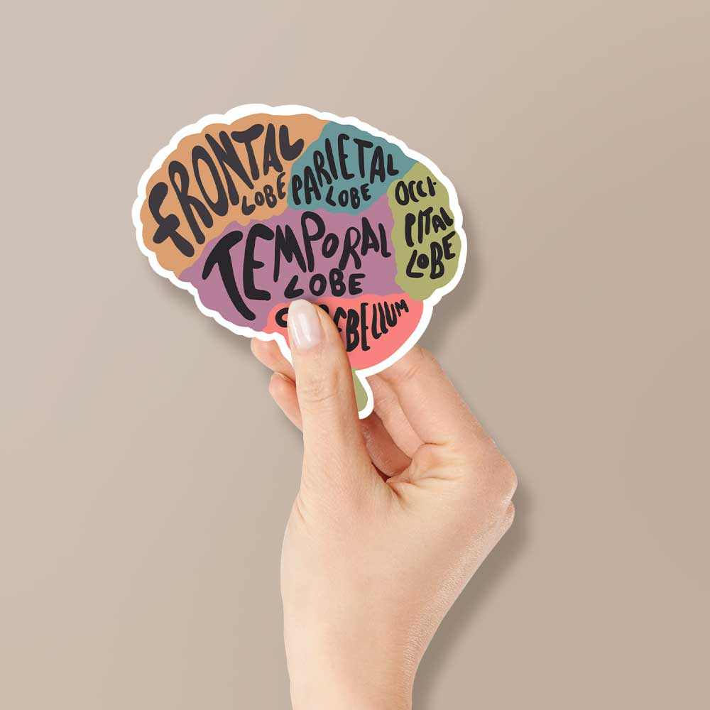 Brain anatomy Sticker | STICK IT UP