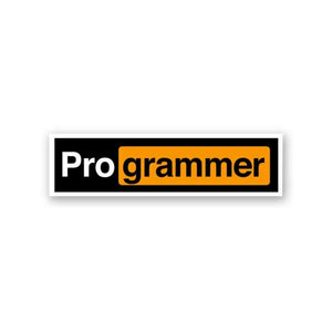 Pro-Grammer Sticker | STICK IT UP