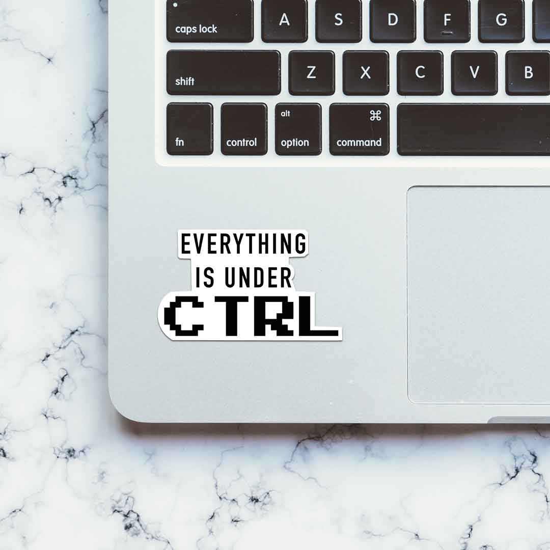 Every Thing Is Under CTRL Sticker | STICK IT UP