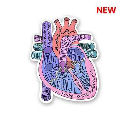 Anatomy Of Heart Sticker waterproof vinyl decal for laptop, bike, car & bottle