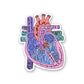 Anatomy Of Heart Sticker waterproof vinyl decal for laptop, bike, car & bottle