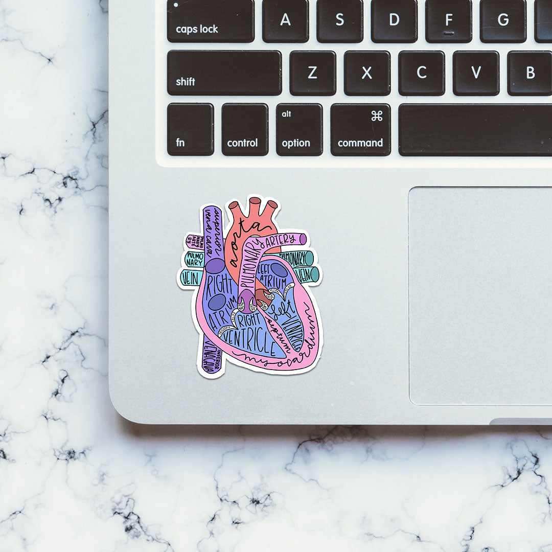 Heart Engineer Sticker Buy Anatomy Of Heart Sticker Online | Premium Waterproof Vinyl | STICK ...