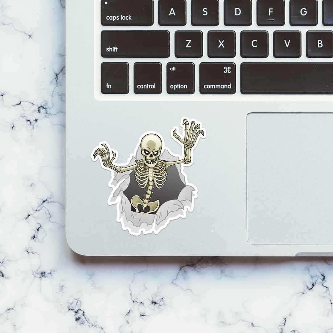 Peek a boo Sticker waterproof vinyl decal for laptop, bike, car & bottle